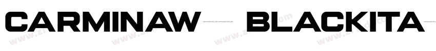 CarminaW01 BlackIta字体转换